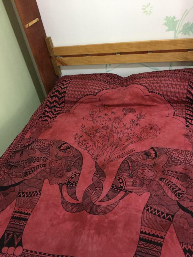 Hostel Mueller Na Praia De Mocambique Florianópolis Eksteriør billede
