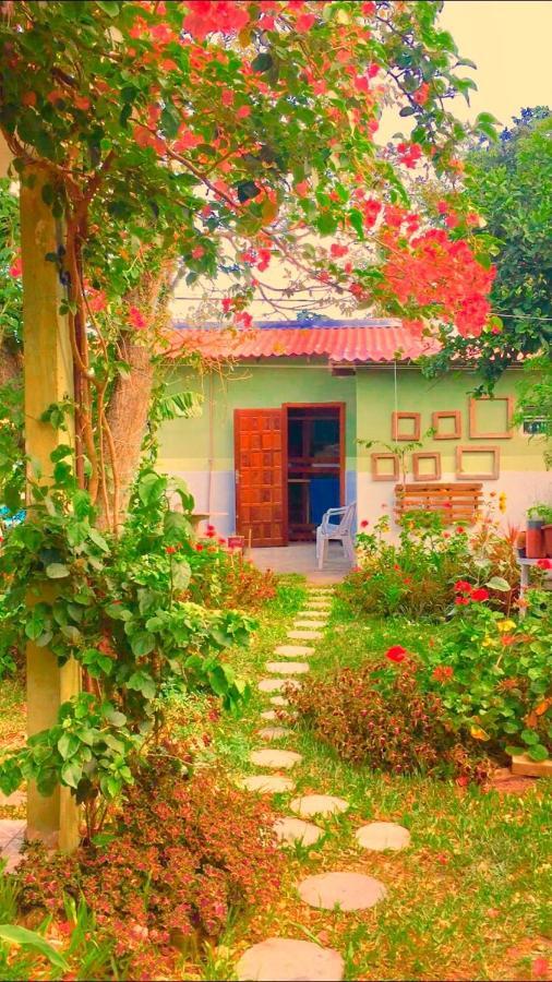 Hostel Mueller Na Praia De Mocambique Florianópolis Eksteriør billede